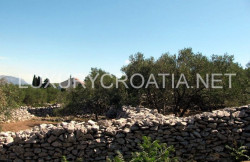 /c_images/thumb_2827637_4_ding-land-with-seaview-for-sale-Lumbarda-Korcula6_phatch.jpg