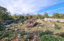 /c_images/thumb_3378598_1_nska_gradevinsko_zemljiste_na_mirnoj_lokaciji_prodaja_24.jpg