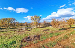 /c_images/thumb_3448702_2_nsko_zemljiste_s_idejnim_projektom_i_pogledom_prodaja_08.jpg