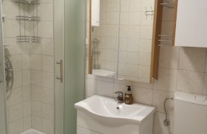 thumb_3235538_6-flat-juhorska-bathroom-full.jpg
