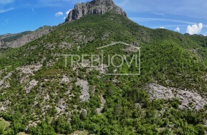 thumb_3304723_dji_fly_20240525_103628_0048_1716640299254_pano.jpeg