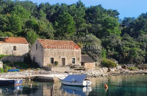 thumb_3390782_oatia-korcula-building-plot-old-house-seafront-sale-101-.jpg